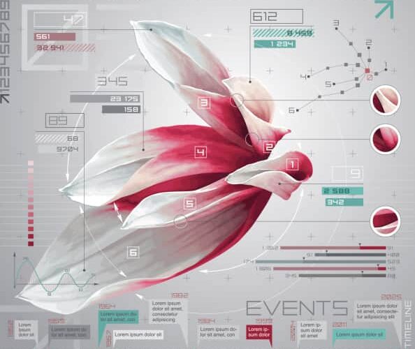 Recursos en diseño web que no te pueden faltar