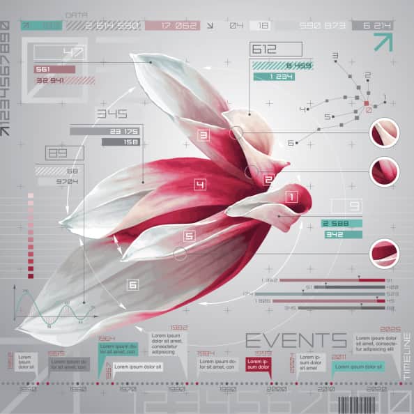 crear una infografía crear una infografía