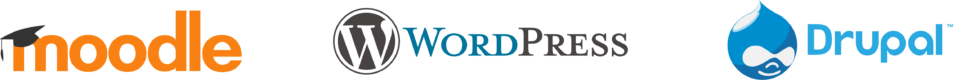 Diseño y usabilidad en todos nuestros proyectos Desarrollo web
